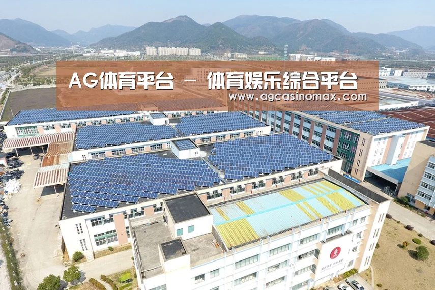 案例展示二