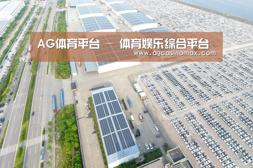 案例展示四