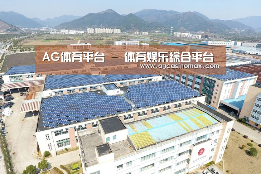案例展示三